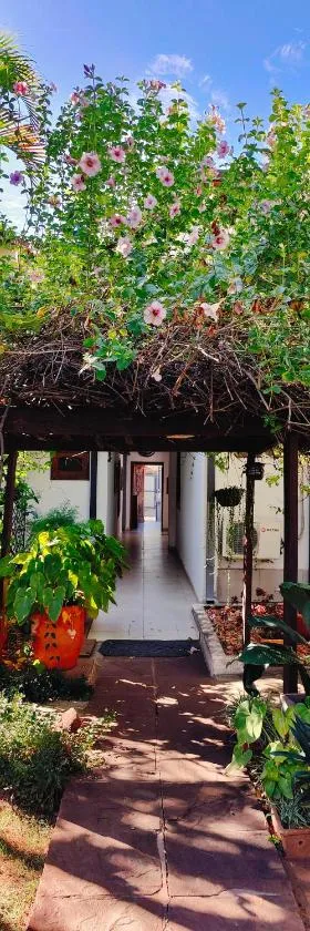Apartamentos Don Gerardo，位于亚松森的酒店