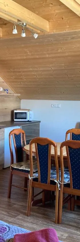 Vinný apartmán Pouzdřany，位于Pouzdřany的酒店