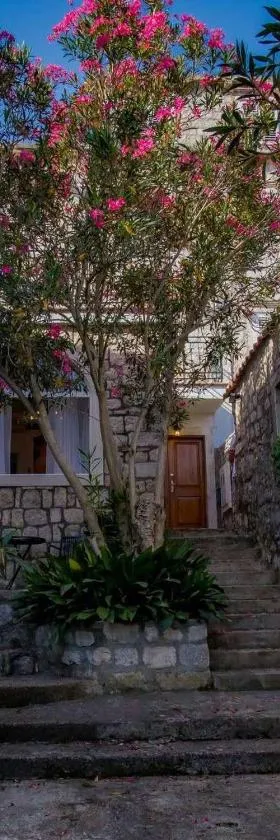 Apartments Villa Cardo，位于马里斯通的酒店