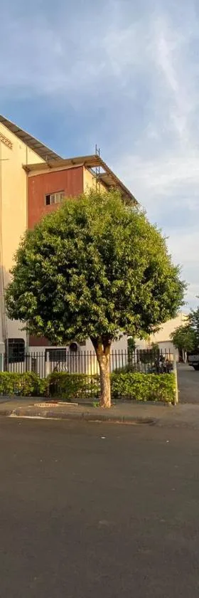 Hotel Califórnia，位于坦加拉-达塞拉的酒店