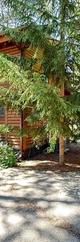Crystal Mountain Cabin-Shuttle Pass Included!，位于Thompsonville的酒店