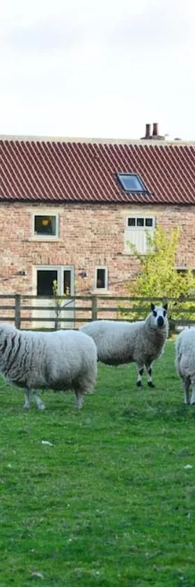 Luxury Barn with sauna near York welcoming families, friends, groups，位于约克的酒店