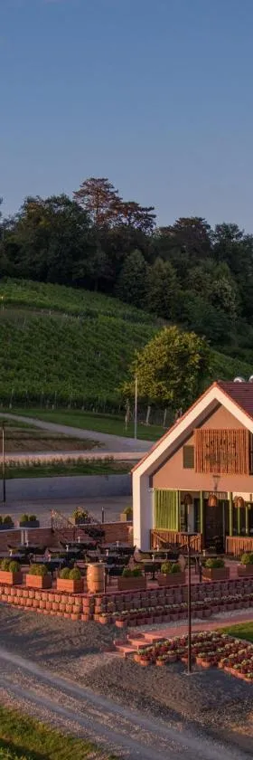 Vila Vinkomir，位于Kutjevo的酒店