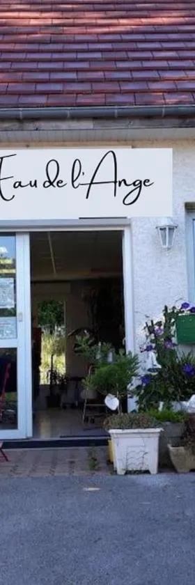 Gîte de l’eau de l’ange，位于Audelange的酒店