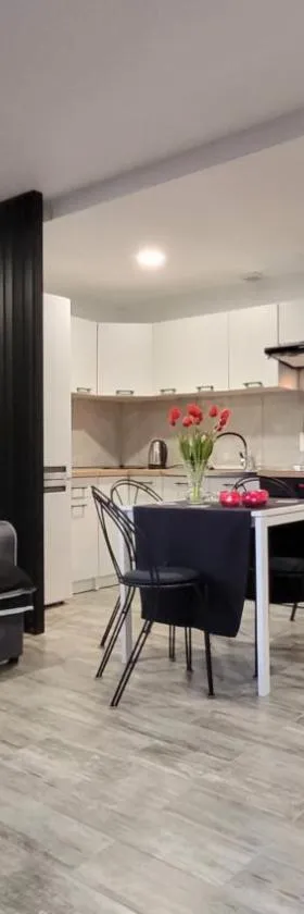 Apartamenty Parkowe nr 7，位于克维曾的酒店