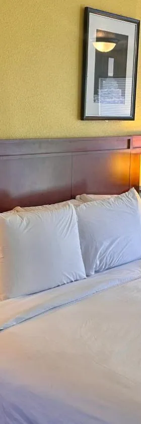 Lakeshore Inn Water Front，位于摩西莱克的酒店