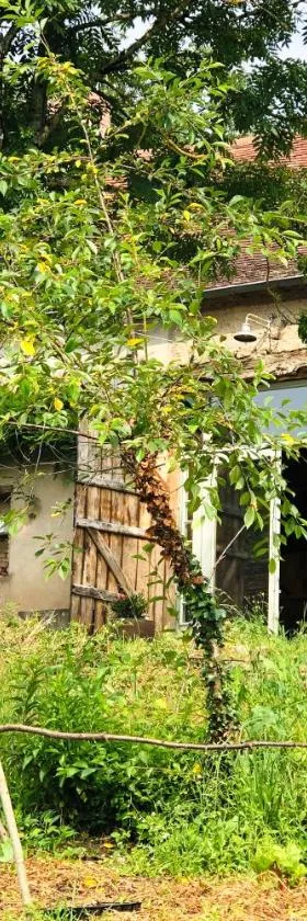 Gîte au Bray，位于Bellenaves的酒店