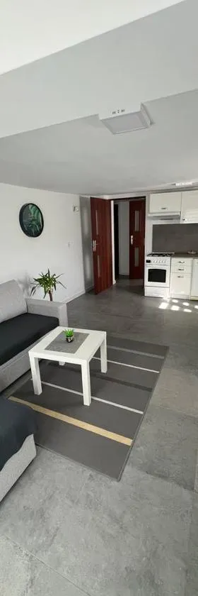 Apartament Koninki，位于Poręba Wielka的酒店