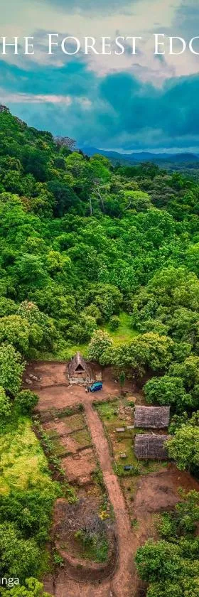 The Forest Edge Resort，位于丹不拉的酒店