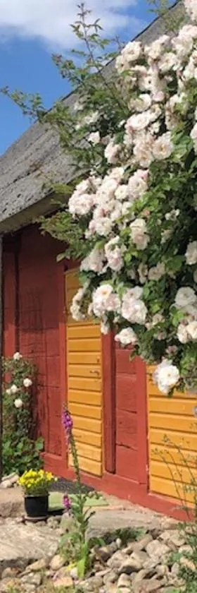 Ängaröds Gård，位于Ljungbyhed的酒店