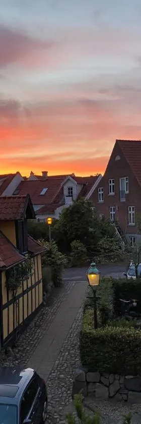 Den Gamle Vandmølle，位于阿森斯的酒店