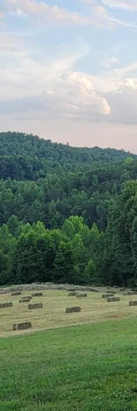 Mountain Retreat house to Relax and Enjoy，位于勒诺的酒店