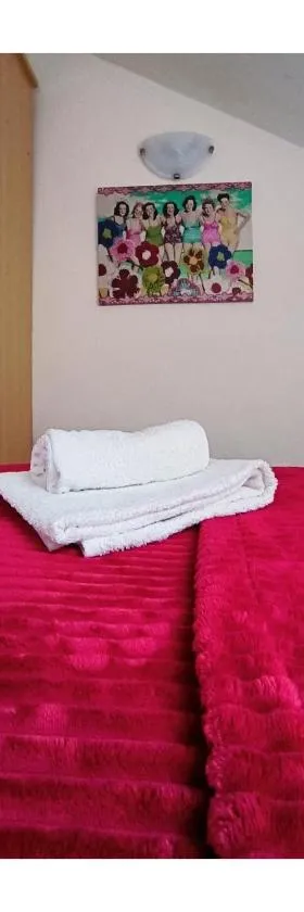 Apartments Senko，位于特尔帕尼的酒店
