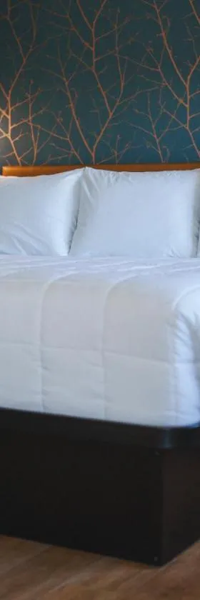 City Center Motel，位于Hamilton的酒店