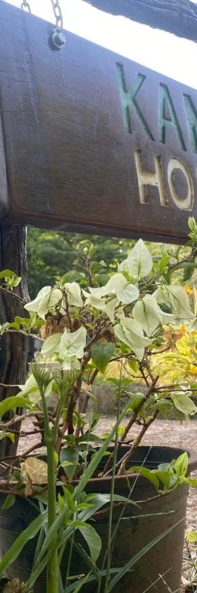 Kanitta Homestay kohyaonoi，位于Ban Bang Chak的酒店