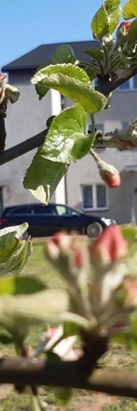 Noclegi nad Biebrzą Stara Szkoła，位于Wroceń的酒店