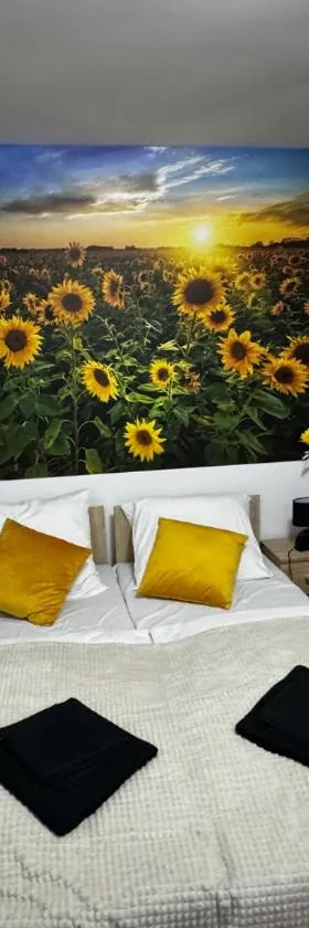 BUTIK Hotel 350m od plaży，位于尤斯托尼莫斯基的酒店