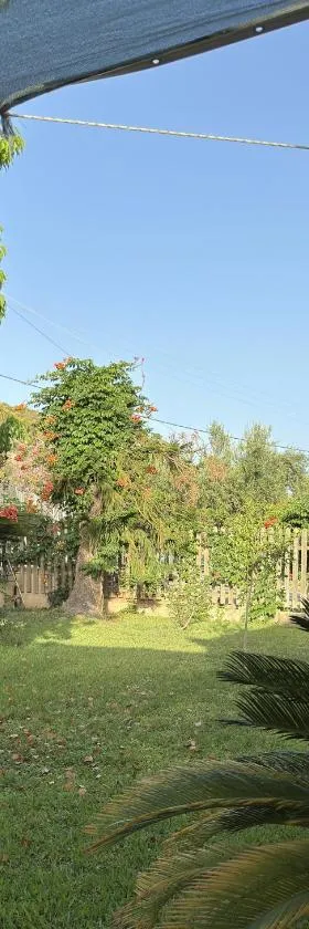 Hotel Jenny，位于扎哈罗的酒店