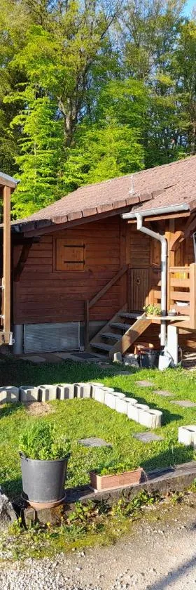 location type gîte, chambre d'hôte, meublé de tourisme dans joli petit chalet typique et ou jolie roulotte type bohème，位于Waldighofen的酒店