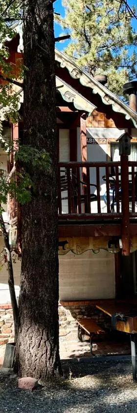 Big Bear Lake - Tulip Lane Cabin #22，位于大熊湖的酒店