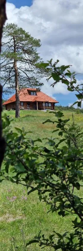 Skroviste, Zlatibor-Vodice，位于兹拉蒂博尔的酒店