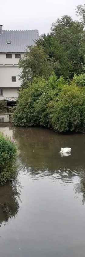 Appartement vue sur l'Eure，位于Soulaires的酒店