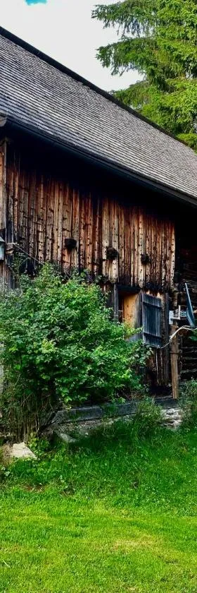 Schell-Hütte，位于Preitenegg的酒店