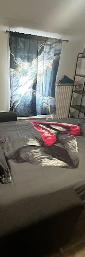 Charmante studio ligne 13 tram 5 saint denis，位于塞纳河畔皮埃尔菲特的酒店