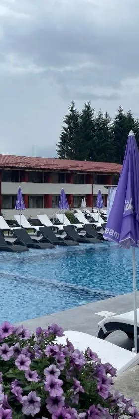 Paradise SPA Hotel，位于西格伏沙尔克的酒店