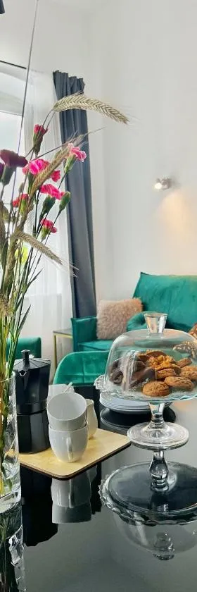 Apartamenty Kopernika 10，位于弗龙堡的酒店