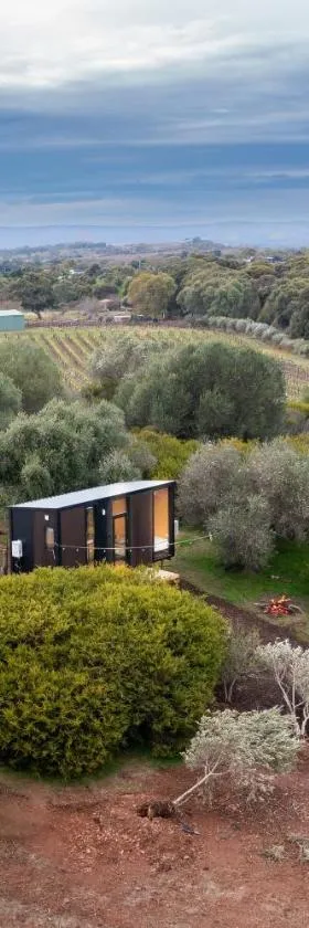 Scrub Tiny House by Tiny Away，位于麦克拉伦谷的酒店