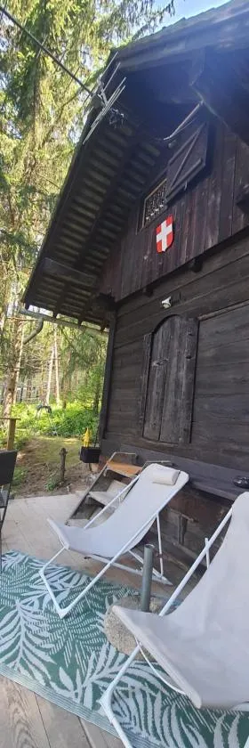 Chalet savoyard "le Sapinet"，位于Saint-Martin-sur-le-Chambre的酒店