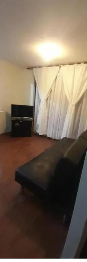 Departamento Vallenar #210，位于巴耶纳尔的酒店