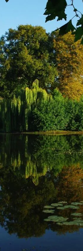 Camping les Plages de Loire，位于Rochefort-sur-Loire的酒店
