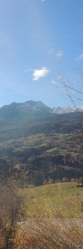 Haus Liaun 2，位于Brienz-Brinzauls的酒店