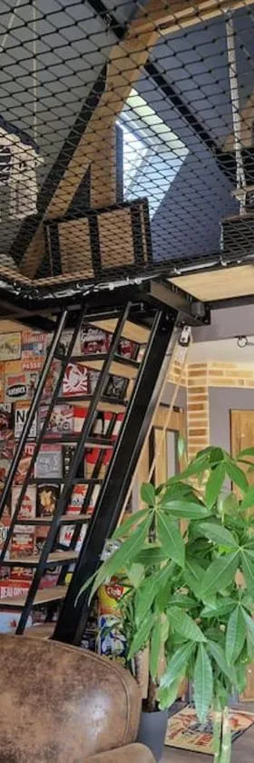 Chalet industriel avec filet et spa，位于索里尼的酒店