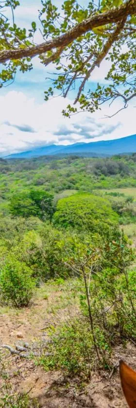 Vida Aventura Ranch，位于Tanques的酒店