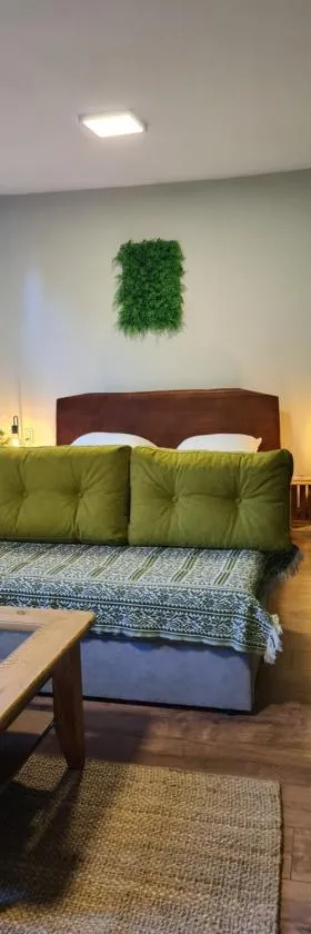 Veljanov Apartment 1，位于内戈蒂诺的酒店
