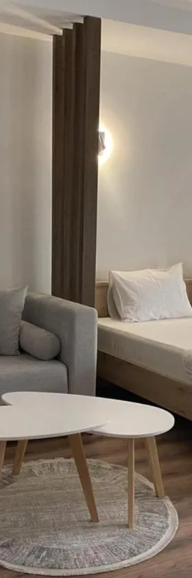 Valentina Apartament，位于内戈蒂诺的酒店
