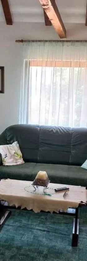 Zoja Apartman Vlasinsko Jezero，位于Šerdanova Mahala的酒店