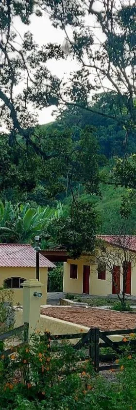 Pousada Sítio Monte Sinai，位于圣若泽-杜巴雷鲁的酒店