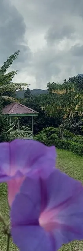 Villa harapan baru，位于不拉士打宜的酒店