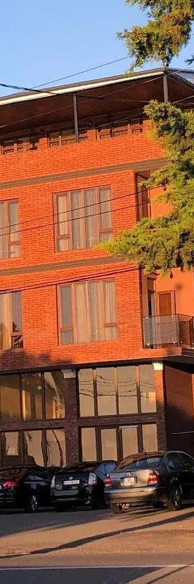 Mzıurı House，位于巴统的酒店