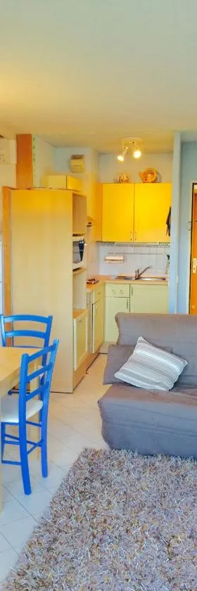 Appartment Plein Soleil，位于戈尔夫瑞昂的酒店