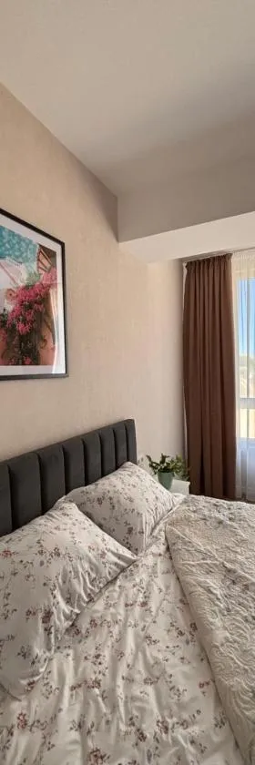 Milescu Residence 2，位于基希讷乌的酒店