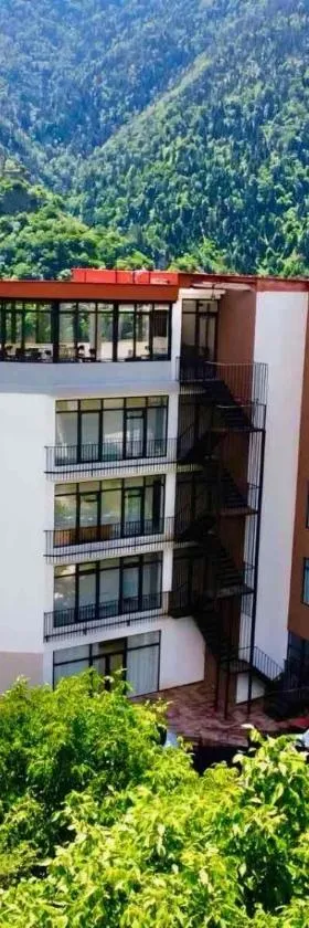 Hotel & Restaurant Emerald Borjomi，位于博尔若米的酒店