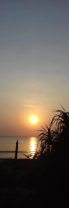 Black Forest Beach Resort，位于尼拉瓦利的酒店