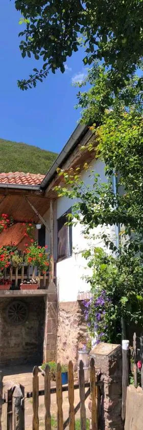 Stara planina, smestaj Ćirković，位于皮罗特的酒店