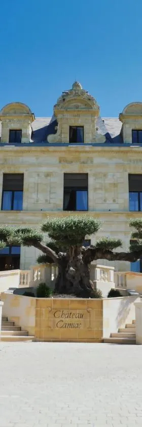 Château Camiac，位于Camiac-et-Saint-Denis的酒店
