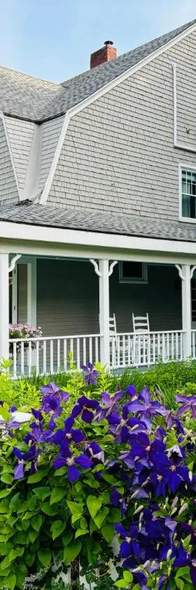 The Belmont Inn，位于卡姆登的酒店